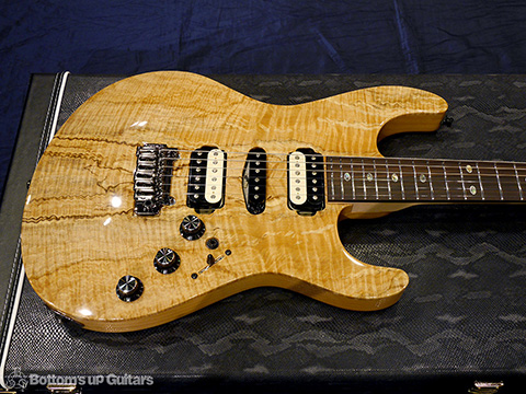 Freedom Custom Guitar Research （FCGR）HYDRA 22F 2Point non Pickguard Spalted Maple Top【Guitar Of the Month】 フリーダム 深野真 