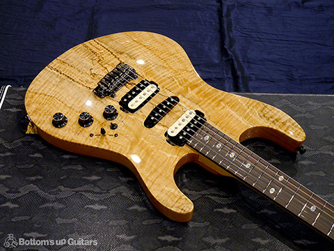 Freedom Custom Guitar Research （FCGR）HYDRA 22F 2Point non Pickguard Spalted Maple Top【Guitar Of the Month】 フリーダム 深野真 