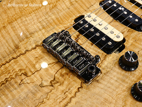 Freedom Custom Guitar Research （FCGR）HYDRA 22F 2Point non Pickguard Spalted Maple Top【Guitar Of the Month】 フリーダム 深野真 
