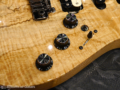 Freedom Custom Guitar Research （FCGR）HYDRA 22F 2Point non Pickguard Spalted Maple Top【Guitar Of the Month】 フリーダム 深野真 