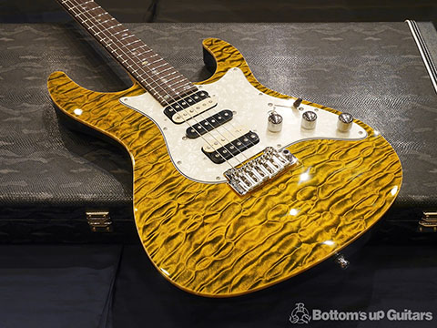 Freedom Custom Guitar Research FCGR HYDRA 24F Hydra24 砂漠 SABAKU フリーダム 日本製 ハンドメイド 国産 エレキギター 工房