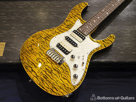 Freedom Custom Guitar Research FCGR HYDRA 24F Hydra24 砂漠 SABAKU フリーダム 日本製 ハンドメイド 国産 エレキギター 工房