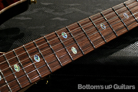 FREEDOM CUSTOM GUITAR RESEARCH FCGR HYDRA 2Point AAAAA Quilt Top ミルクコーヒー フリーダム