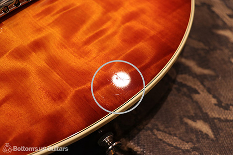 Freedom Custom Guitar Research FCGRRRH-12 Horse-chestnut Top フリーダム 深野真 