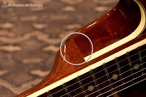 Freedom Custom Guitar Research FCGRRRH-12 Horse-chestnut Top フリーダム 深野真 