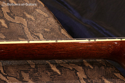 Freedom Custom Guitar Research FCGRRRH-12 Horse-chestnut Top フリーダム 深野真 