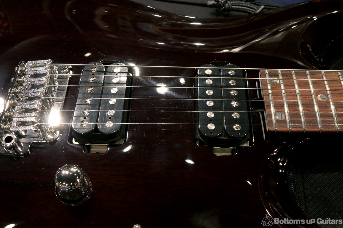 T's Guitars DST-pro24Carved Mahogany - Trans Black -