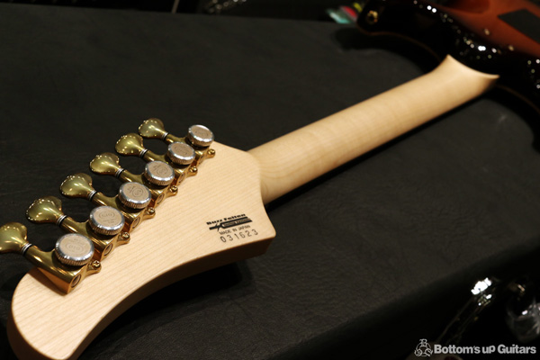 T's Guitars DST-Pro22 5A Quilt / FRT / EMG-SSH / GHW 【弊社代表セレクト材＆オーダースペック】