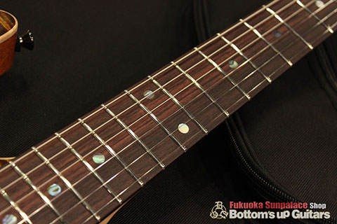 T's Guitars DST-DX 22 Hand Select 5A+ Top -Tiger Eye-【BUG Special Order】