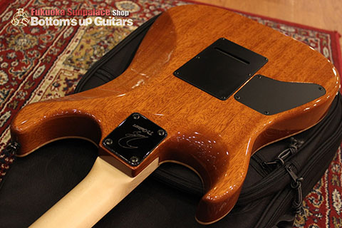 T's Guitars DST-DX 22 Hand Select 5A+ Top -Tiger Eye-【BUG Special Order】