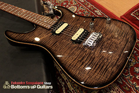 T's Guitars DST-Pro24 Mahogany Limited -Safari Burst-【BUG Special Order】