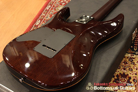 T's Guitars DST-Pro24 Mahogany Limited -Safari Burst-【BUG Special Order】