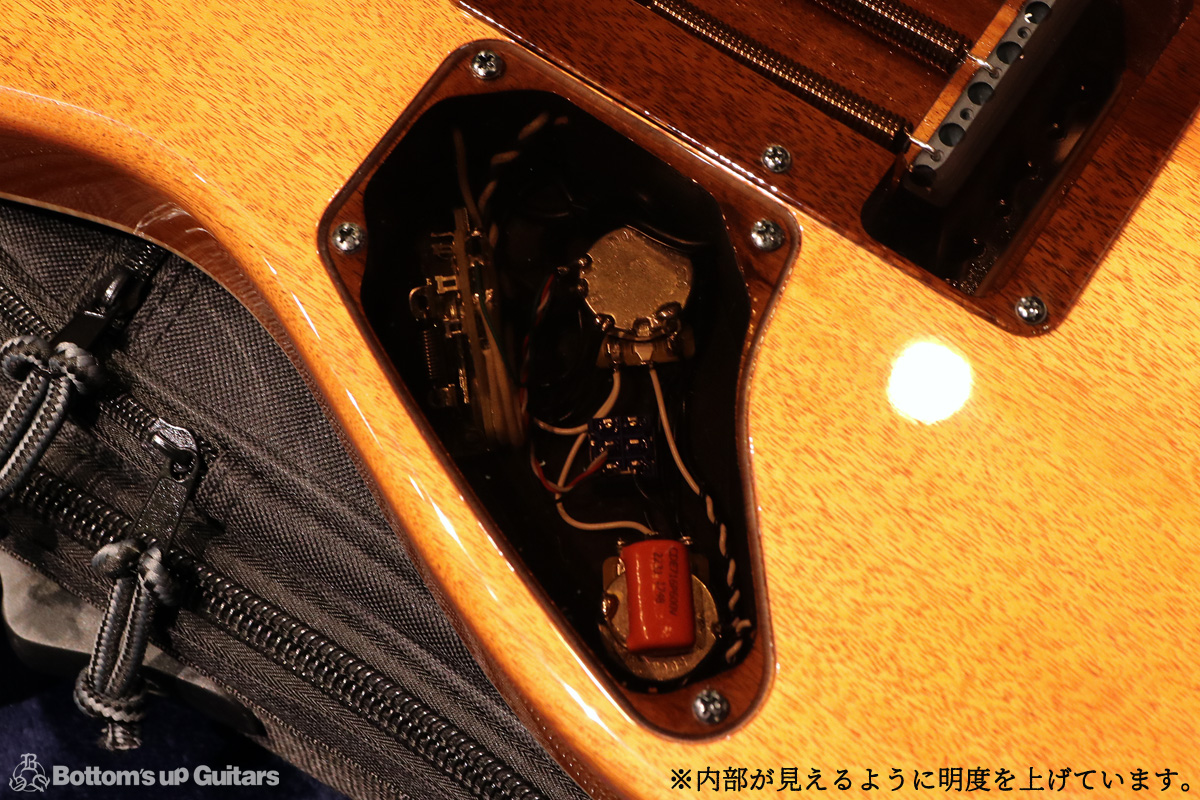 T's Guitars TL-Hollow-DX22 Roseneck - Transparent Yellow - 【当社特注品!】