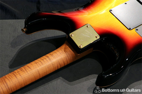 T's Guitars 2018 DST-Pro24 Custom Roasted Flame Maple Neck 当店代表材セレクト 特注仕様 ティーズギターズ,特注品,オーダー品,コンポーネント,,DST-pro,ルミンレイ,マダガスカルローズウッド,ジェスカー,ゴトーガット,,ローステッドメイプル,チョコレートメイプル,