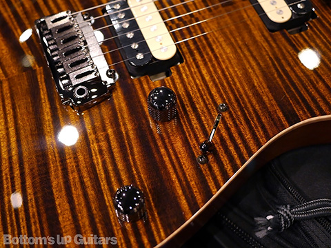 T's Guitars DST-DX 22 5A+ Selected Top -Tiger Eye- 【BUG Special Order】現地材選定特注モデル