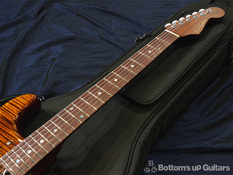 T's Guitars ST-Hollow Deluxe Rosewood Neck - Tiger's Eye -【BUG Special Order】