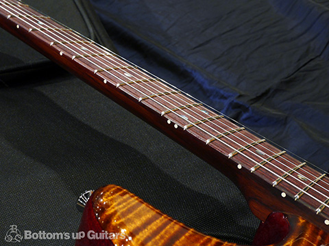 T's Guitars ST-Hollow Deluxe Rosewood Neck - Tiger's Eye -【BUG Special Order】