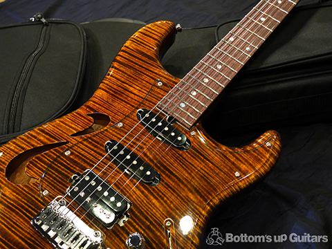 T's Guitars ST-Hollow Deluxe Rosewood Neck - Tiger's Eye -【BUG Special Order】