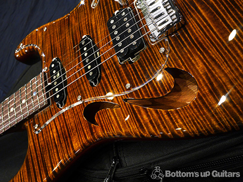 T's Guitars ST-Hollow Deluxe Rosewood Neck - Tiger's Eye -【BUG Special Order】